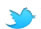 Follow us on twitter!